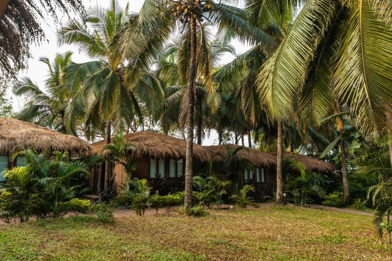 Anahata Retreat Beach Front Ashwem Goa Mandrem Exterior foto